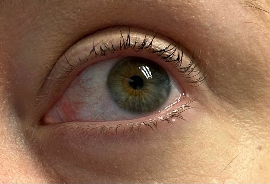 Hazel or Brown? Pic included