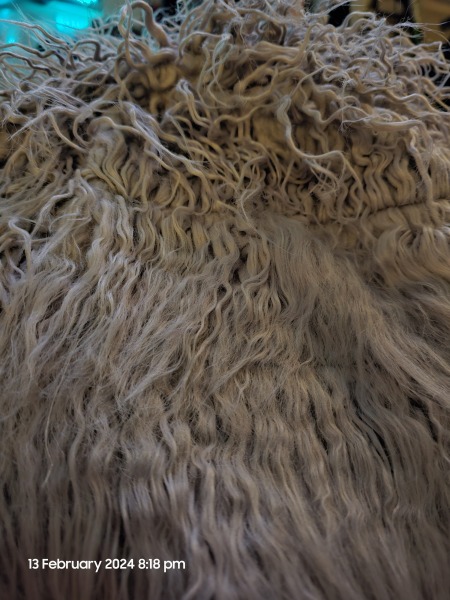 Any suggestions for untangling this jacket?