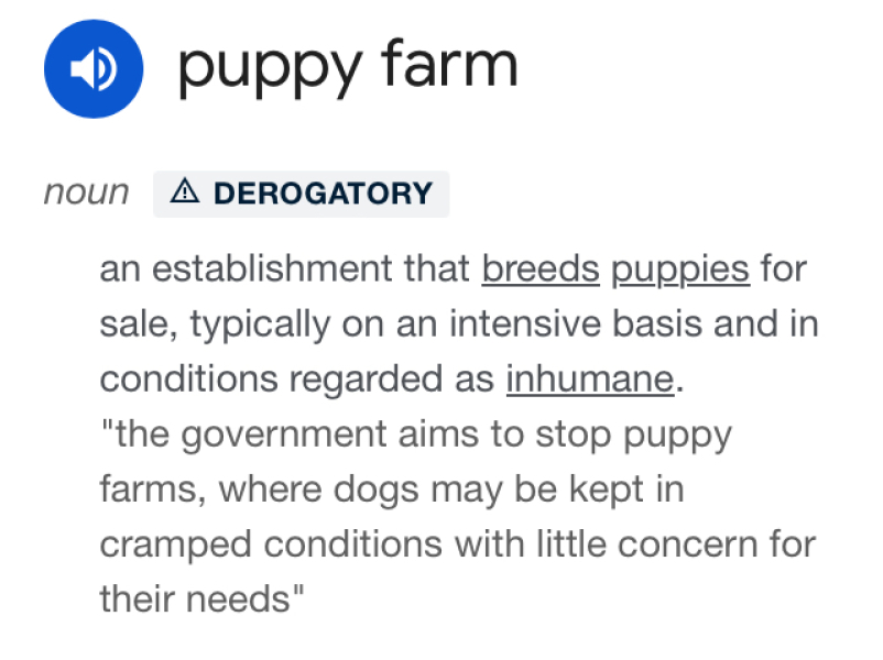 To have a litter of puppies?