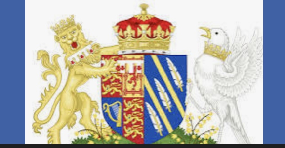 New Sussex website