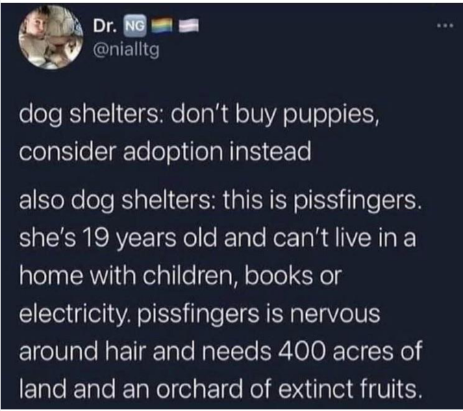 XL Bullies to be destroyed now!