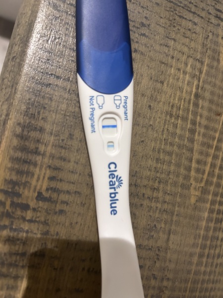 OCTOBER 2024 BABIES!