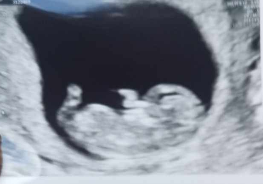 Due September 4.5 🐣♥️🧡💜