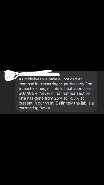Could the Covid jab have caused miscarriages?