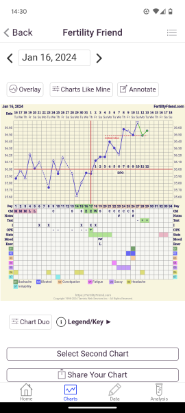 BFP - What did your BBT chart look like that cycle?
