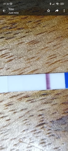 Can you see this line - bfp or evap?