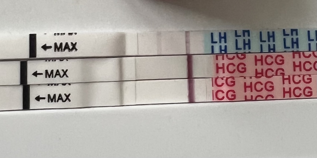 Come on 2024 BFPs let’s be having you!!!