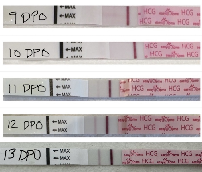 Bfp at 10/11dpo.. Could it still be from hcg trigger?