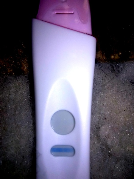 Faint positive ?