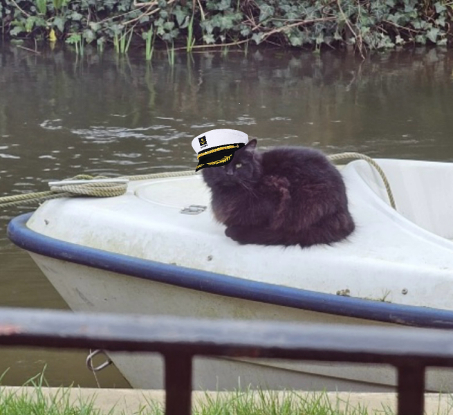 Tales and Tails and NMCs  -  the Excellent Cats March On