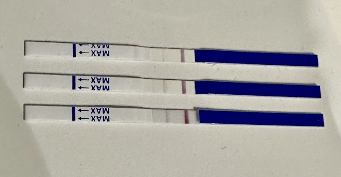 Bfp 13 days after hcg trigger (11/12dpo)
