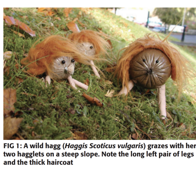 Cultural differences Scotland and England