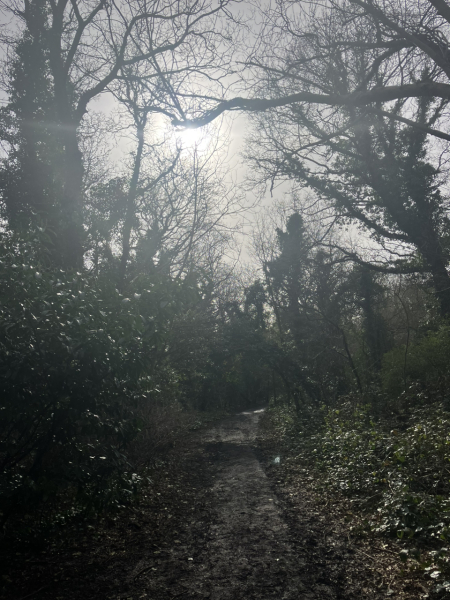 General support thread - come on in