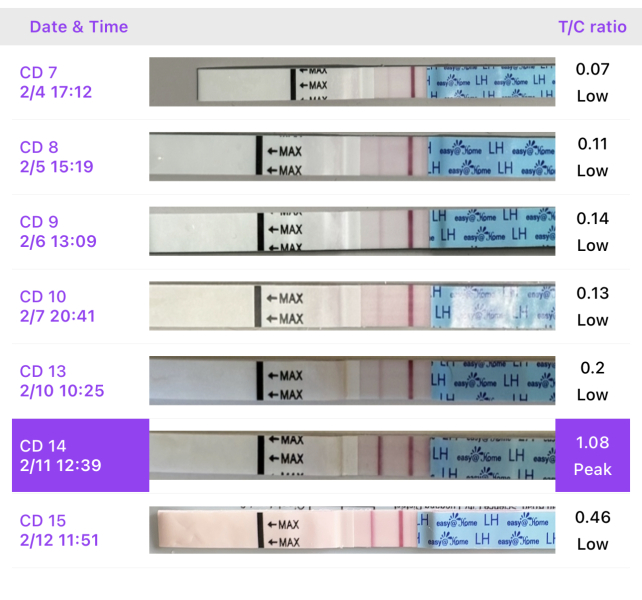 Anyone TTC Dec 2023…continued