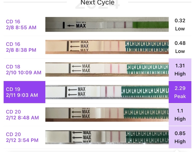 OPK help please!