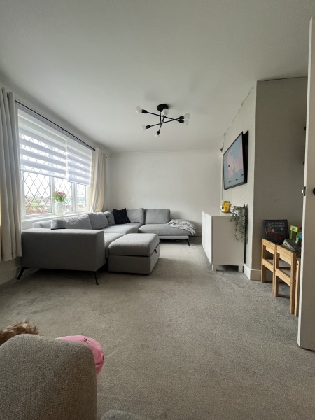 What would you do with this lounge?