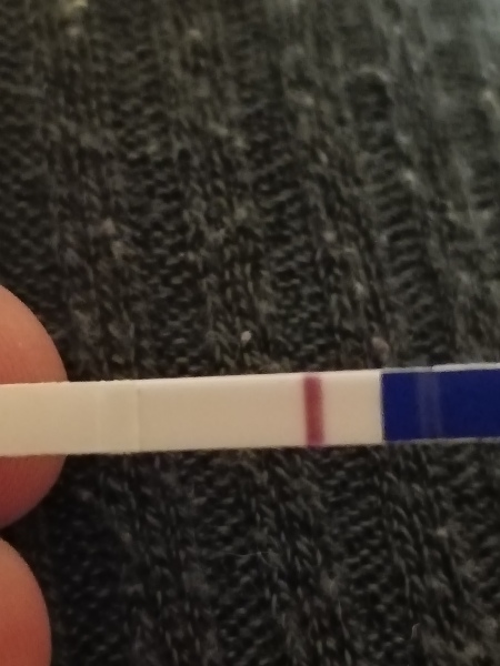Negative? 12 dpo