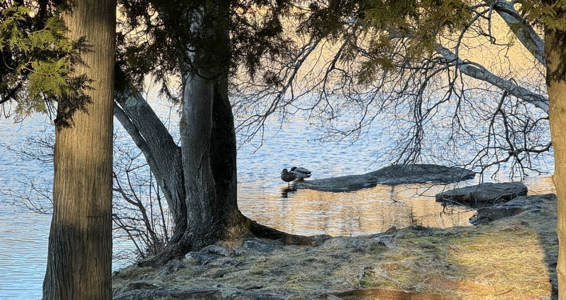 Come and tell me your dull and unexciting news 28: Calmly through the day