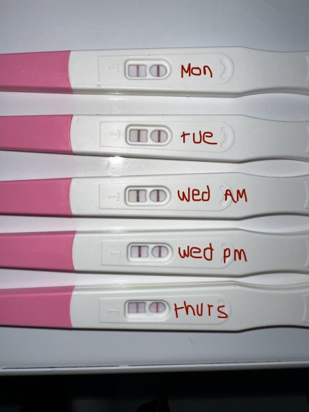 Ovulation