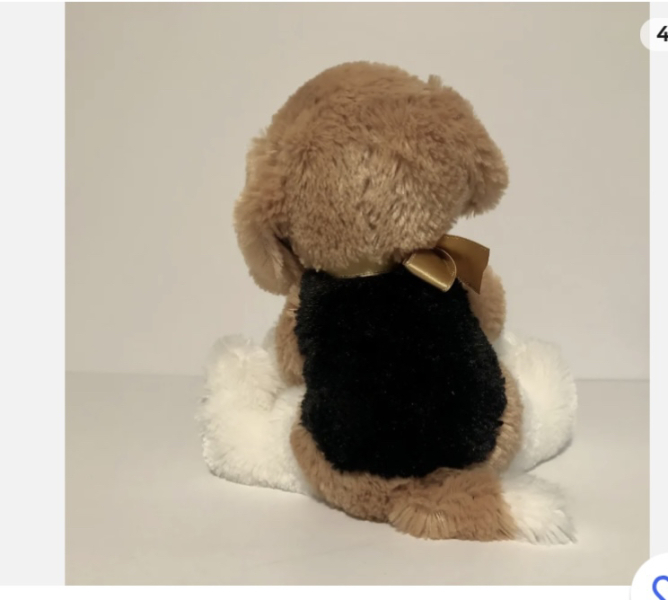 Help does anyone know where I can find this teddy