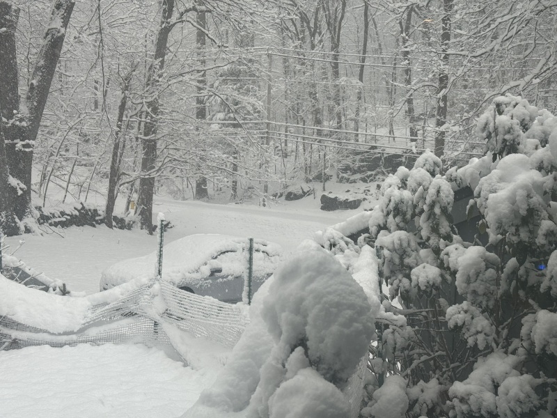 Come and tell me your dull and unexciting news 28: Calmly through the day