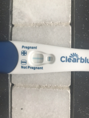 TTC February 2024 ✨