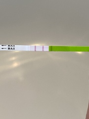 Is this a positive ovulation test?