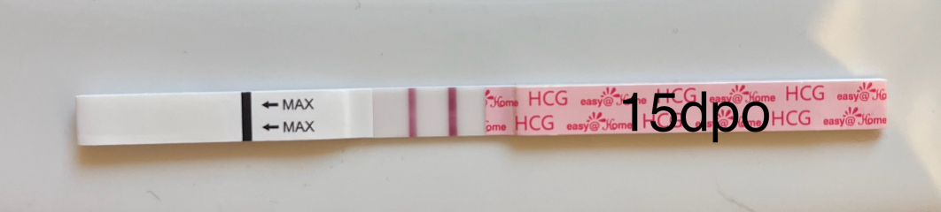 OCTOBER 2024 BABIES!