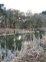 Come chat hiking with me!