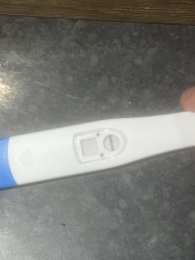 Line eyes 8dpo
