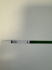 BFP or indent?
