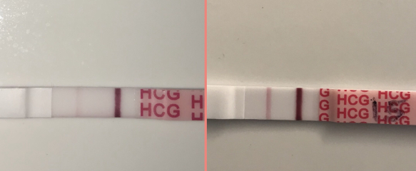 Anyone TTC Dec 2023…continued