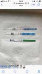 Anyone TTC Dec 2023…continued