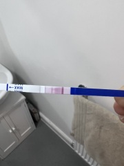 Please tell me if you think this is positive?