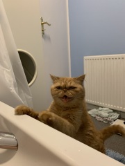 What a big mouth you have.....