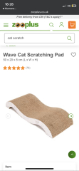 Cat scratching the walls