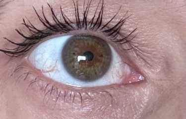 Hazel or Brown? Pic included