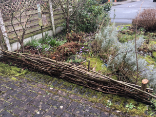 What have you done in the garden today? Part 3