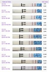 Ovulation help