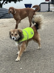 Stuck between life and death . TW suicide