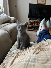 Help cheer me up on a shit mental health day