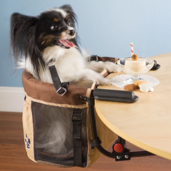 This “humanisation” of dogs has got ridiculous