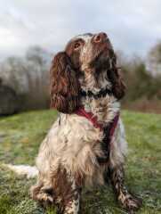 THE WAY. MON BBC 9pm. Tv pace. NO SPOILERS