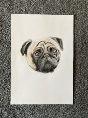 All the p-Arty People - Thread #1