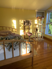 Favourite colour for a bedroom?