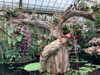 The Great Recovery! After cancer what next?