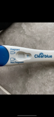 Clear blue test. Evap line or positive