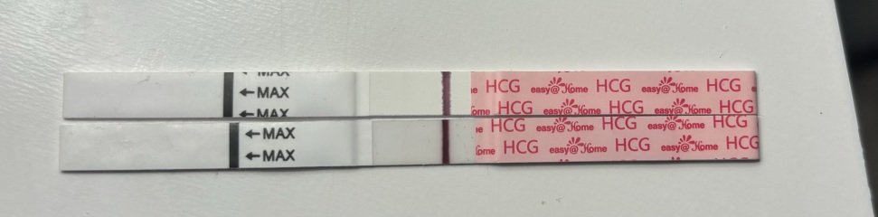 TWW... starting now!