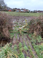 Come chat hiking with me!