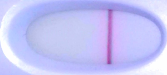 Do any of these look like a faint positive ?